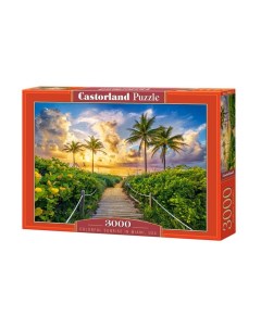 Пазлы 3000 Восход солнца в Майами США Кастор