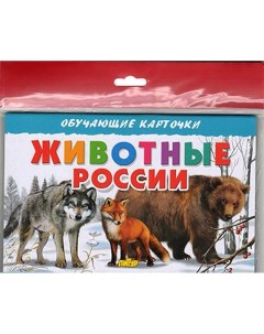 Обучающие карточки Животные России Литур