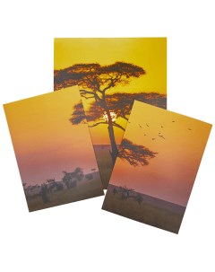Постеры Африка 3 шт в ассортименте Nobrand