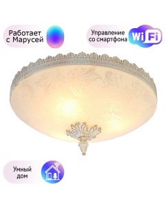 Потолочный светильник с поддержкой Маруся A4541PL 3WG М Arte lamp