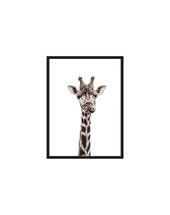 Постер в раме Любознательный жираф Hoff