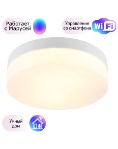 Потолочный светильник Aqua Tablet с поддержкой Маруся A6047PL 3WH М Arte lamp