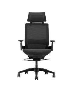 Ортопедическое офисное кресло Youran No 1 Ergonomic Chair Efficiency Black 8h