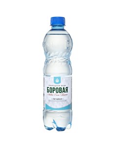Вода питьевая природная негазированная 0 5 л Боровая