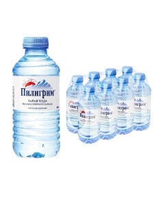 Вода минеральная питьевая 8 шт по 0 25 л негазированная пэт Пилигрим