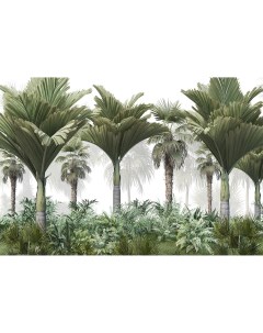 Фотообои Decor F 361 Лес с тропическими деревьями и кустарниками 400х270 Divino