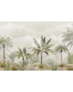 Фотообои Decor F коллекцияF 332 Тропические деревья в тумане 400х270 1 Divino