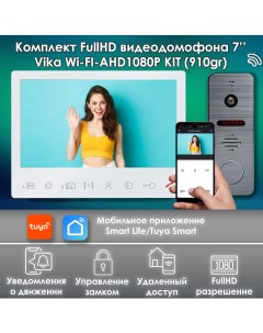 Комплект видеодомофона Vika KIT WIFI 910gr Alfavision