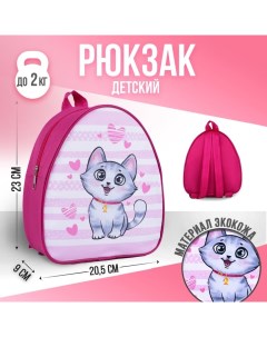 Рюкзак детский отдел на молнии розовый Nazamok