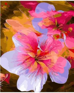 Картина по номерам Нежные цветы OK10512 холст на подрамнике 40х50 см Paintboy