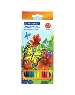 Карандаши цветные Wonderful butterfly 6 шт Brauberg