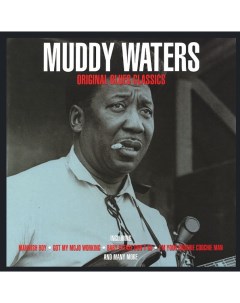Muddy Waters Original Blues Classics LP Not now music