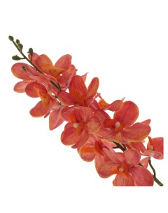 Искусственный цветок Орхидея 12 см 795147 Alat home