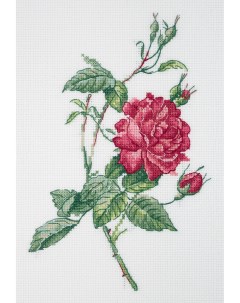 Набор для вышивания 8 531 Ботаника Роза Klart
