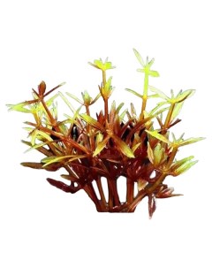 Искусственное растение аквариумное красно зеленый 2 5x5 см 10 шт Пижон