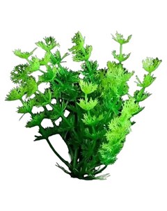 Искусственное растение аквариумное зеленый 3х13 см 5 шт Пижон