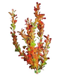 Искусственное растение аквариумное красно зеленый 4х30 см 5 шт Пижон