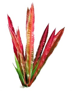 Искусственное растение аквариумное зелено красный 4х20 см 5 шт Пижон