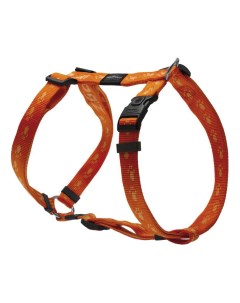 Шлейка для собак Alpinist XL 25мм Оранжевый SJ27D Rogz