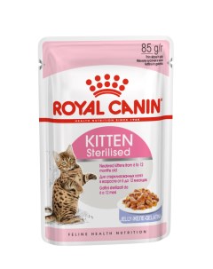 Влажный корм для котят Kitten Sterilised мясо в желе 12шт по 85г Royal canin