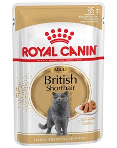 Влажный корм для кошек British Shorthair Adult индейка кусочки в соусе 85г Royal canin