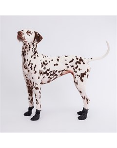 Носки удлиненные с прорезиненной подошвой для собак XS черные Rungo