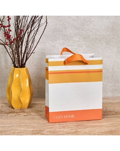 Пакет подарочный Stripes 22х10х26 Cozyhome