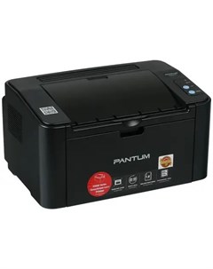 Лазерный принтер P2500 1375819 Pantum