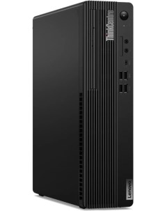 Настольный компьютер ThinkCentre M70s черный 11DBS5NA00 Lenovo
