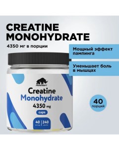 Креатин Моногидрат Creatine Monohydrate 40 порций 240 капсул без вкуса Prime kraft