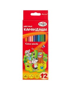 Набор цветных карандашей 12 цв арт 278512 5 наборов Gamma