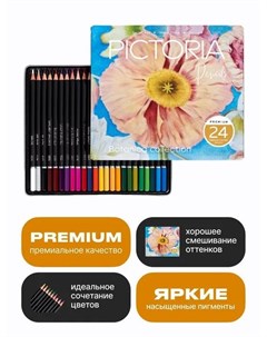 Набор цветных карандашей Botanica 24шт в металлической коробке Pictoria