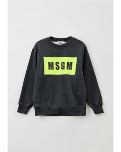 Свитшот Msgm kids