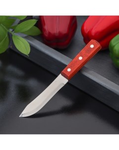 Нож для мяса и стейков Доляна
