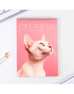 Скетчбук а5 40 л 100 г м2 Artfox