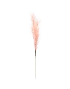 Трава пампасная декоративная 116 см розовый Азалия