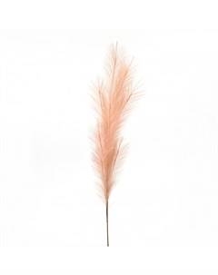 Трава пампасная декоративная 116 см пыльно розовый Азалия