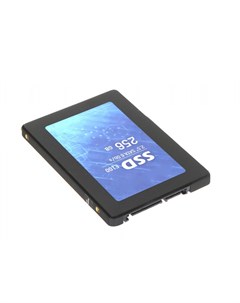Накопитель SSD E100 256Gb HS SSD E100 256G Hikvision