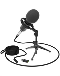 Микрофон вокальный Ritmix RDM 160 Black RDM 160 Black