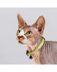 Ошейник нейлоновый с колокольчиком для кошек 1х30 см зеленый Petmax