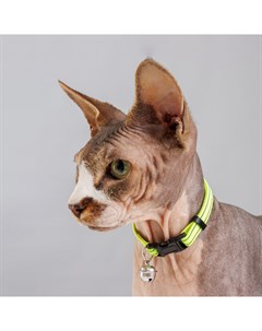 Ошейник нейлоновый светоотражающий с колокольчиком для кошек 1х30 см желтый Petmax
