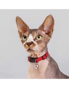 Ошейник нейлоновый светоотражающий с колокольчиком для кошек 1х30 см красный Petmax