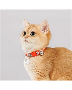 Ошейник нейлоновый со светоотражающим адресником для кошек 1х30 см красный Petmax