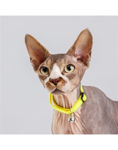 Ошейник нейлоновый с колокольчиком для кошек 1х30 см желтый неон Petmax