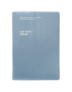 Ежедневник Dream датированный на 2024 год 14 х 20 см 352 страницы интегральный переплет голубой Infolio