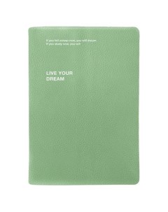 Ежедневник Dream датированный на 2024 год 14 х 20 см 352 страницы интегральный переплет зеленый Infolio