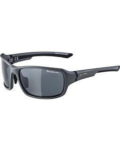 Очки велосипедные Lyron солнцезащитные grey matt Black PM A8628525 Alpina