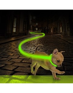 Ошейник для собак нейлоновый светящийся зеленый 65см Бельгия Duvo+