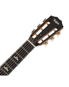Акустические гитары 612ce 12 Fret 600 Series Taylor