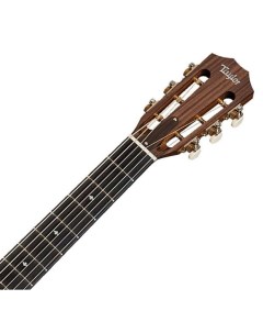 Акустические гитары 312e 12 Fret 300 Series Taylor